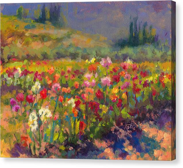 Canvas Print of Dahlia Row oil painting by Talya Johnson