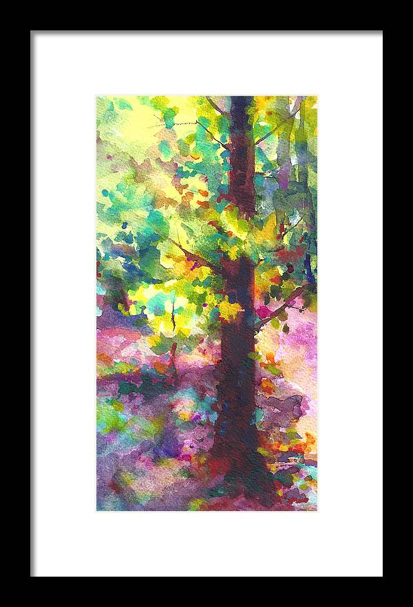 Dappled - light through tree canopy - Framed Print