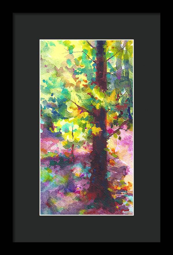 Dappled - light through tree canopy - Framed Print