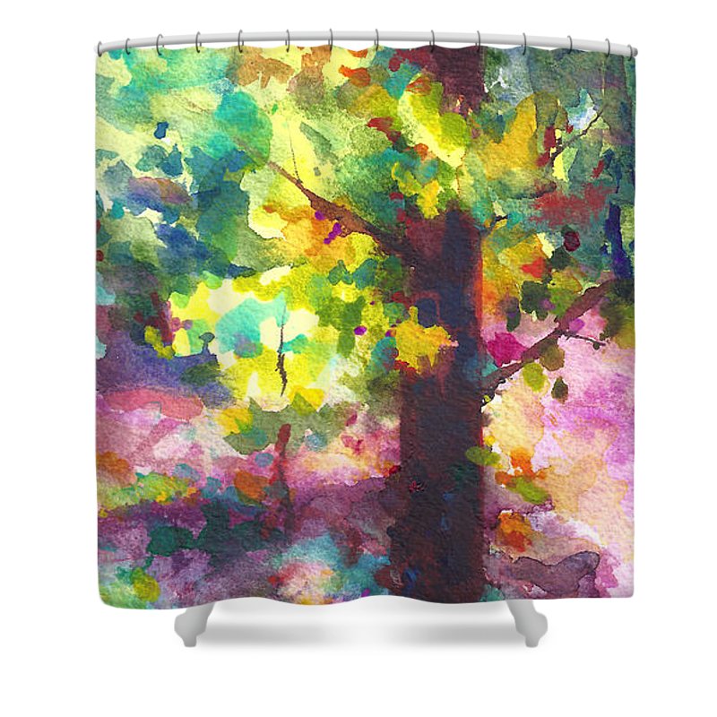 Dappled - light through tree canopy - Shower Curtain