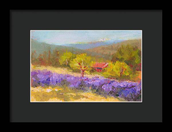 Mountainside Lavender   - Framed Print