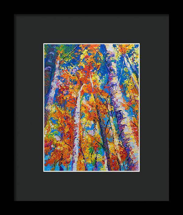 Redemption - fall birch and aspen - Framed Print