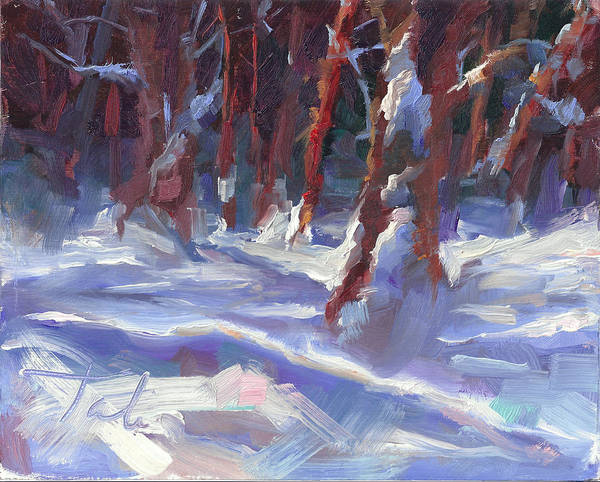 Snow Laden - winter snow covered trees - Art Print