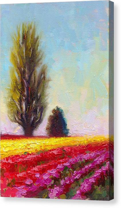 Tulip Sentinels - Canvas Print