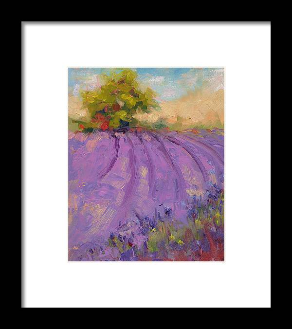 Wildrain Lavender Farm - Framed Print