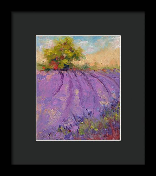 Wildrain Lavender Farm - Framed Print