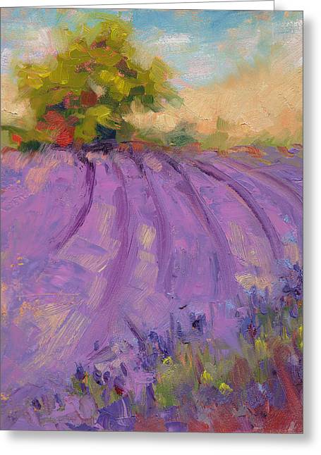 Wildrain Lavender Farm - Greeting Card