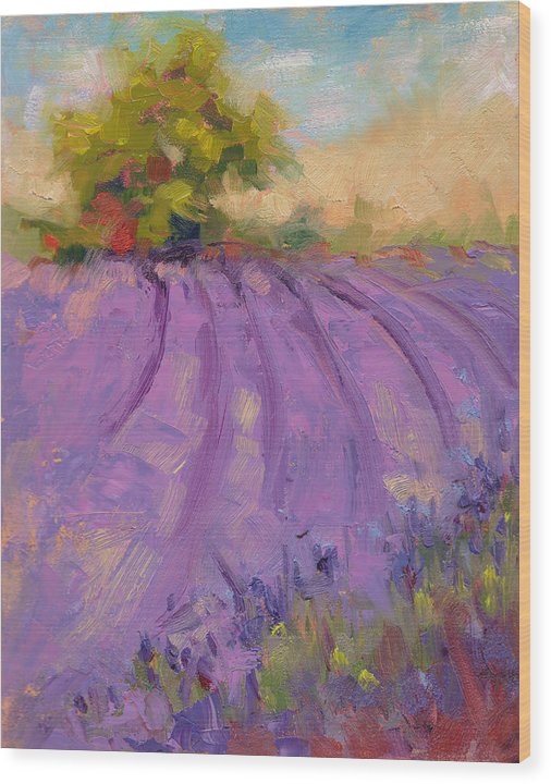 Wildrain Lavender Farm - Wood Print