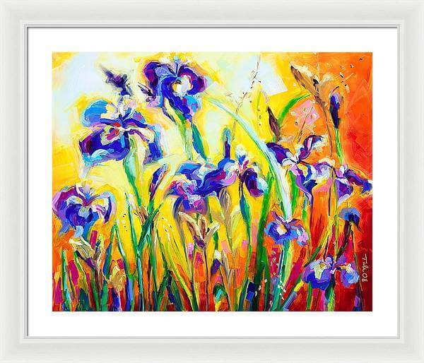 Alpha and Omega - Framed Print:   Blue Iris impressionist painting by Talya Johnson  art print  with white mat and white frame 
