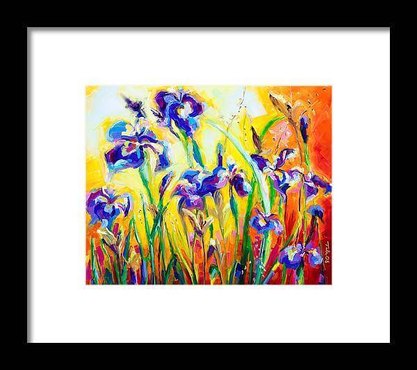 Alpha and Omega - Fine Art print of blue irises against a colorful abstract background, framed in black with a white mat.