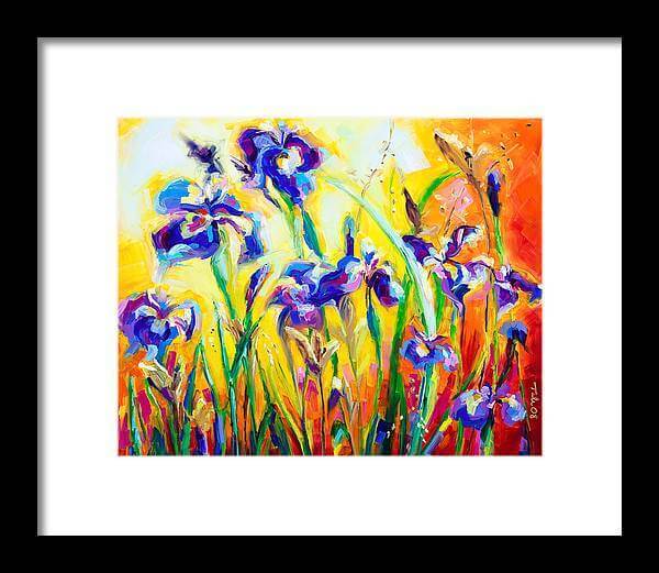 Alpha and Omega - Irises - Framed Print