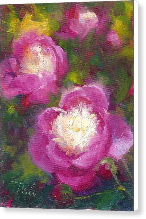 Bowls of Beauty - Alaskan peonies - Canvas Print