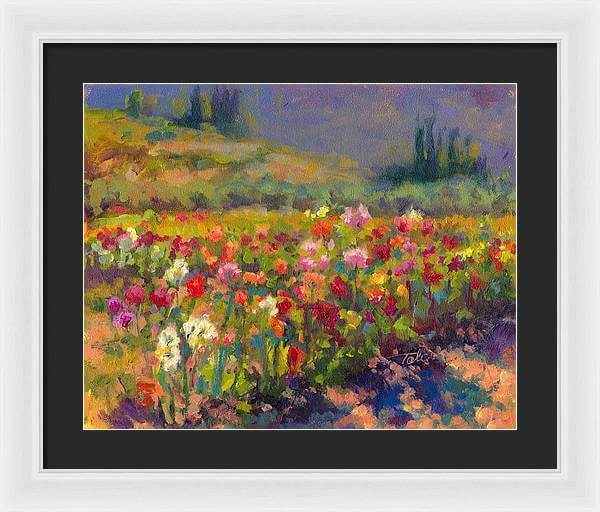 Dahlia Row - Framed Print