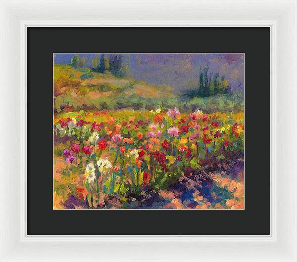 Dahlia Row - Framed Print