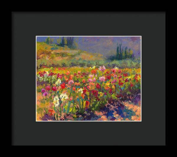 Dahlia Row - Framed Print