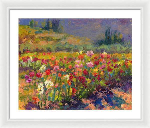 Dahlia Row - Framed Print