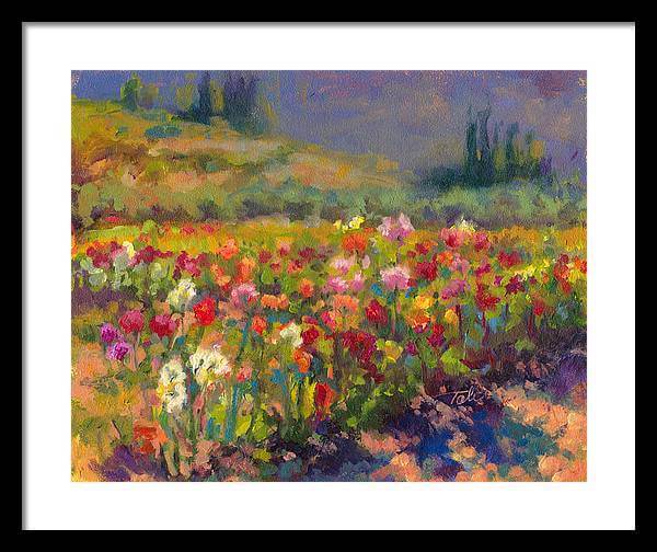 Dahlia Row - Framed Print