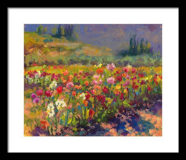 Dahlia Row - Framed Print