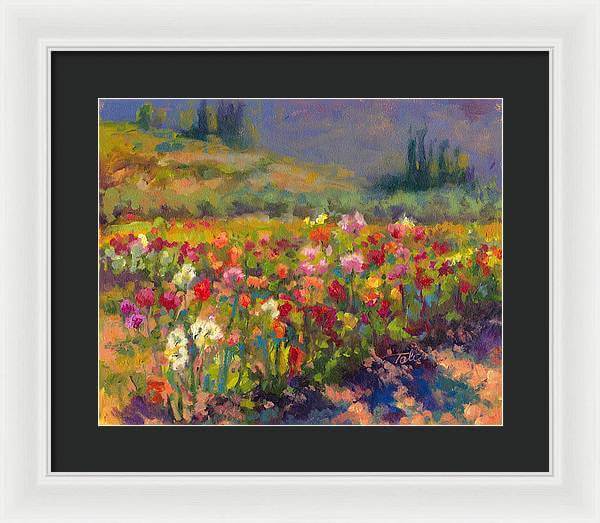 Dahlia Row - Framed Print