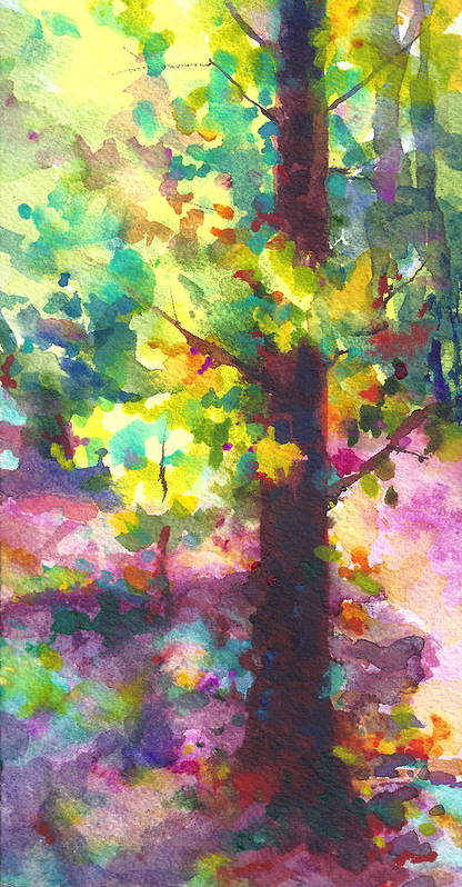 Dappled - light through tree canopy - Art Print