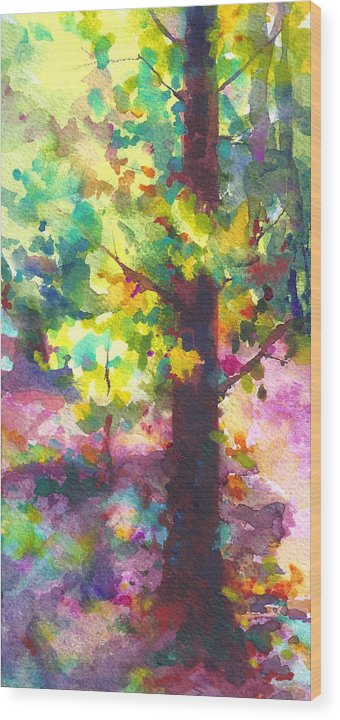 Dappled - light through tree canopy - Wood Print