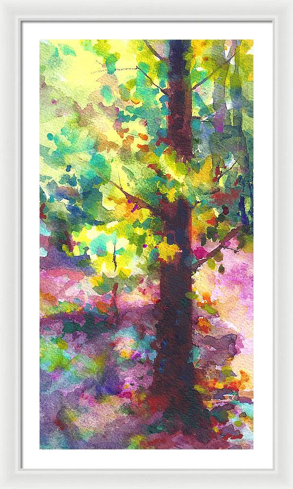 Dappled - light through tree canopy - Framed Print