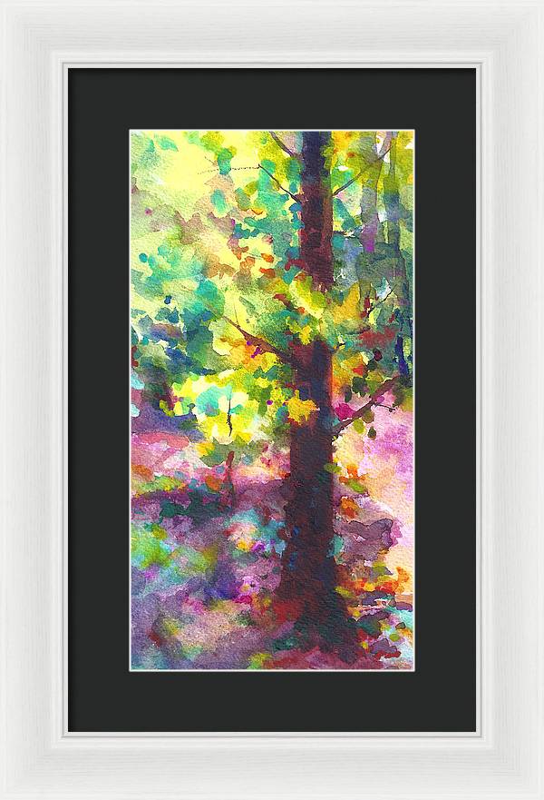 Dappled - light through tree canopy - Framed Print