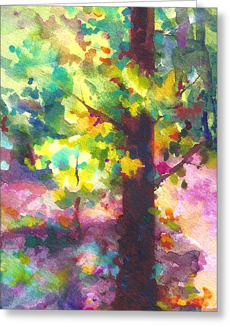 Dappled - light through tree canopy - Greeting Card