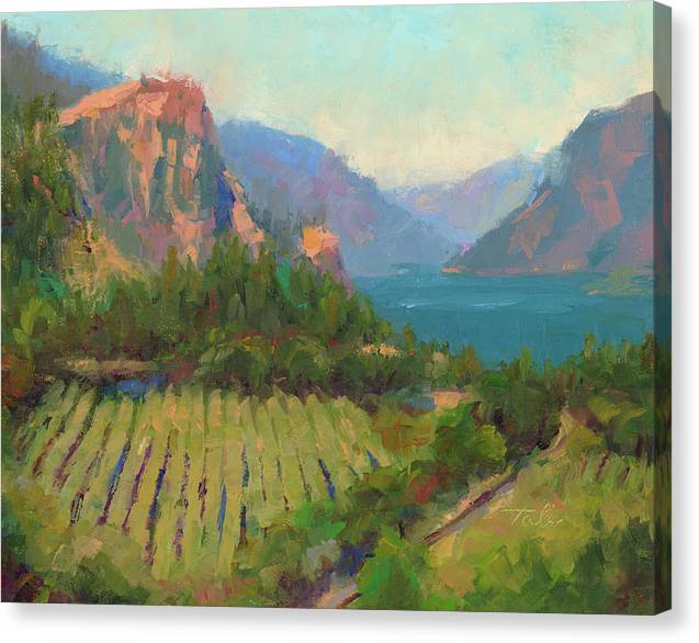 Morning Reverie - plein air landscape of Columbia River Gorge - Canvas Print by Talya Johnson