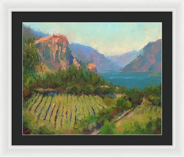 Morning Reverie - plein air landscape of Columbia River Gorge - Framed Print by Talya Johnson