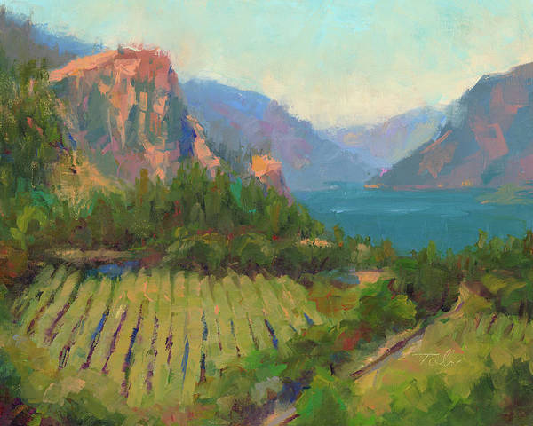 Morning Reverie - plein air landscape of Columbia River Gorge - Art Print by Talya Johnson