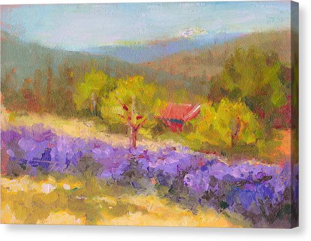 Mountainside Lavender   - Canvas Print