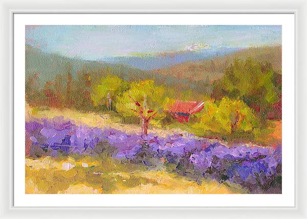 Mountainside Lavender   - Framed Print