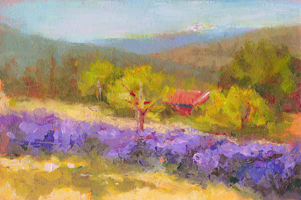 Mountainside Lavender   - Art Print