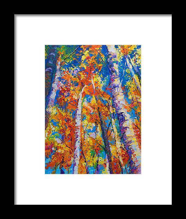 Redemption - fall birch and aspen - Framed Print