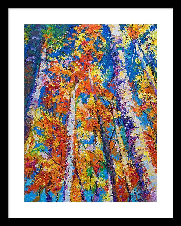 Redemption - fall birch and aspen - Framed Print