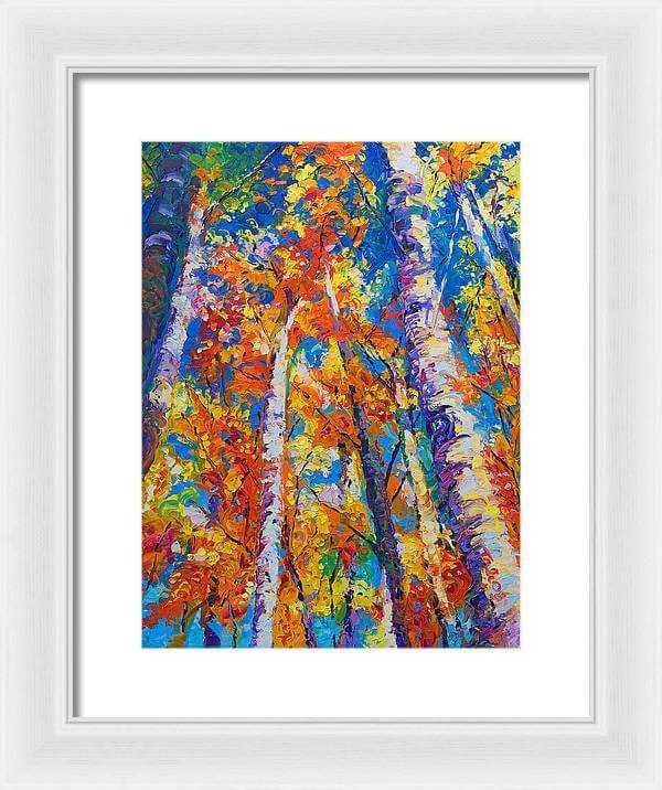 Redemption - fall birch and aspen - Framed Print
