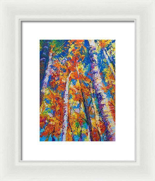 Redemption - fall birch and aspen - Framed Print