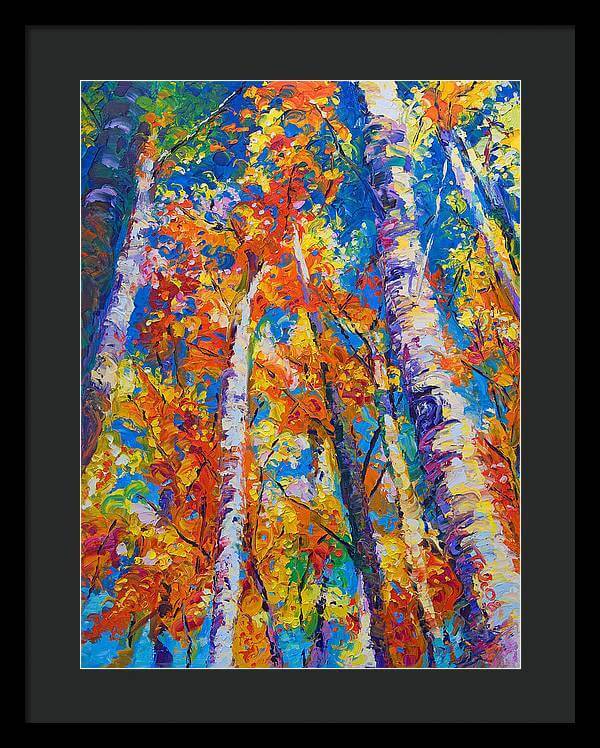 Redemption - fall birch and aspen - Framed Print