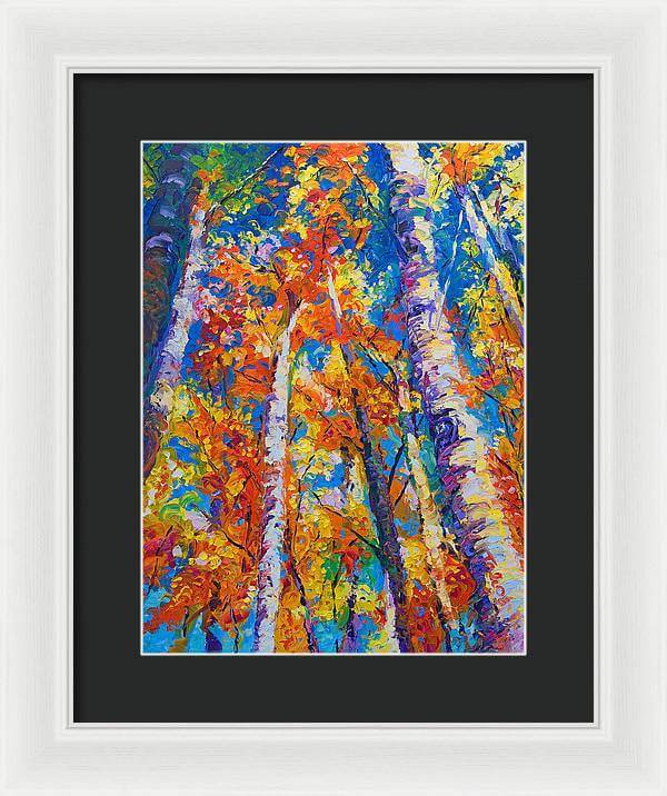 Redemption - fall birch and aspen - Framed Print