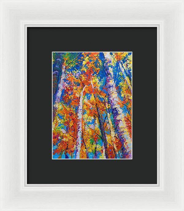 Redemption - fall birch and aspen - Framed Print