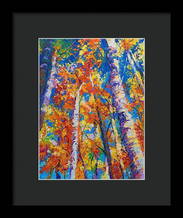 Redemption - fall birch and aspen - Framed Print