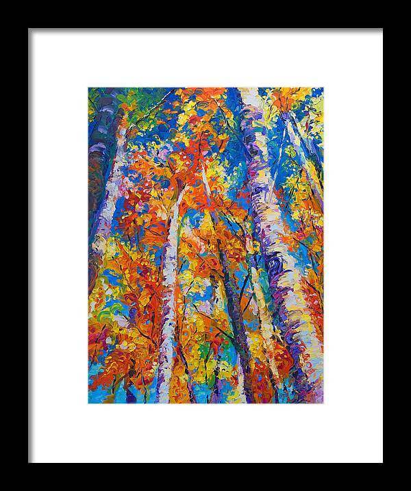 Redemption - fall birch and aspen - Framed Print