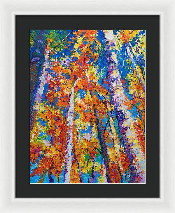 Redemption - fall birch and aspen - Framed Print