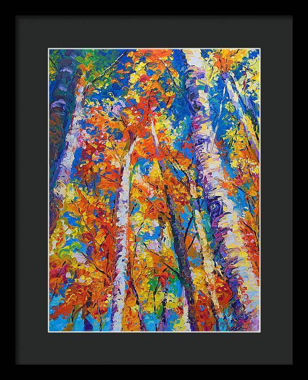 Redemption - fall birch and aspen - Framed Print