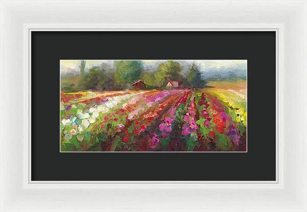 Trespassing Dahlia field landscape - Framed Print