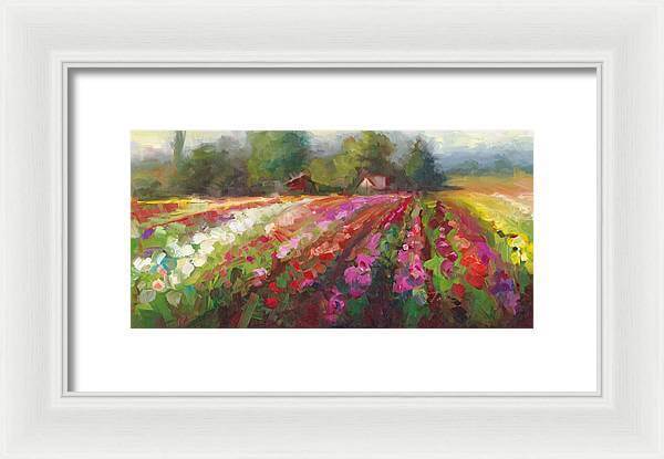 Trespassing Dahlia field landscape - Framed Print