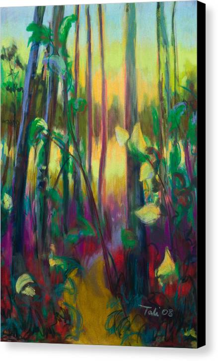Unexpected Path - through the woods - Canvas Print