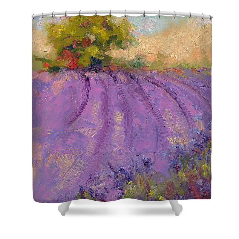 Wildrain Lavender Farm - Shower Curtain